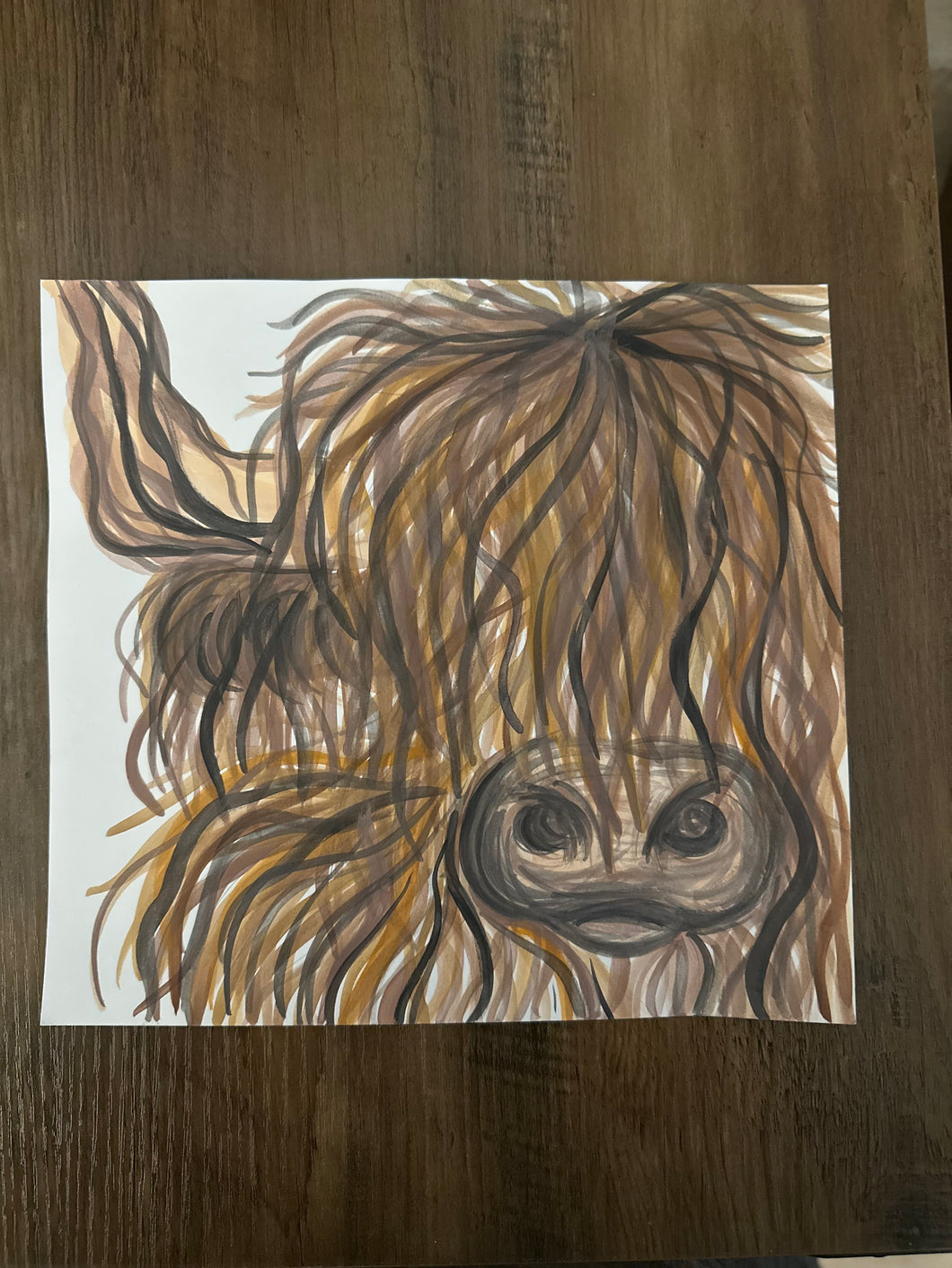 Highland Cows
