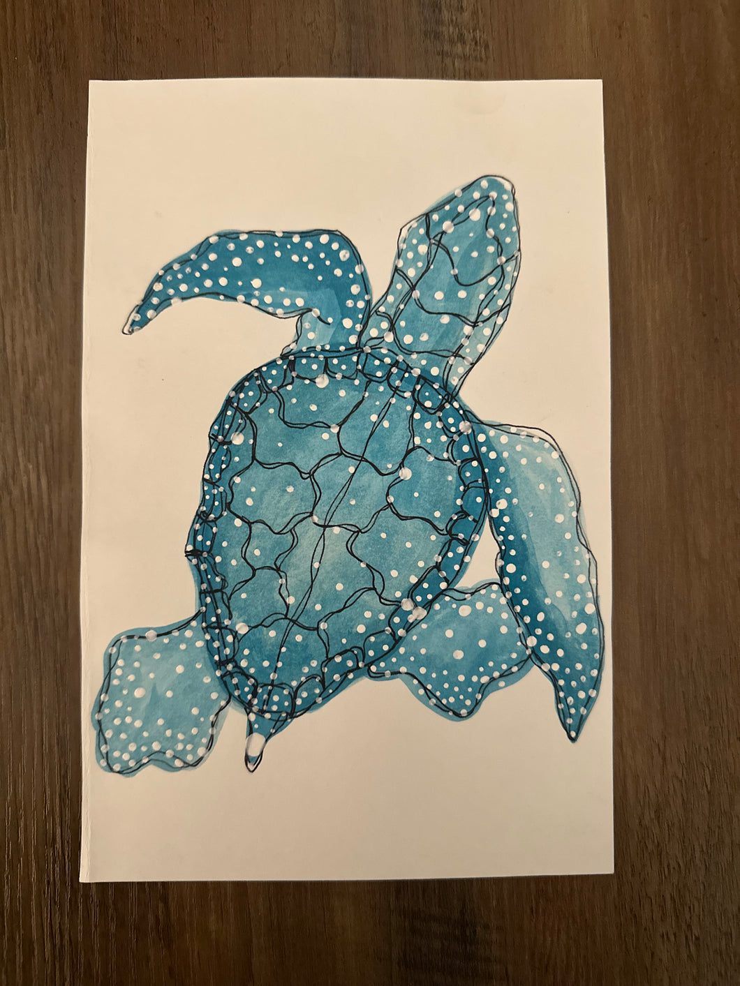 Aqua Turtle